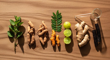 Top 7 Ayurvedic Herbs for Boosting Immunity Naturally | SSHERBAL